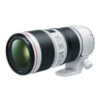Amazon.com : Canon EF 70-200mm f/4-32 II USM Lens for Canon